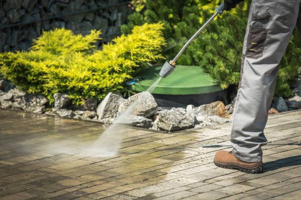 Best Patio and Deck Pressure Washing  in Oakwood Hls, IL