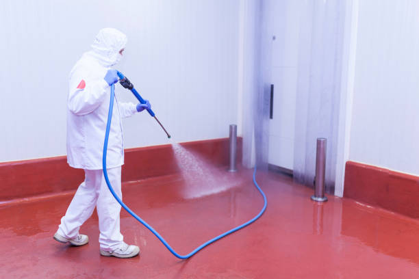 Trusted Oakwood Hills, IL Pressure Washing Services Experts